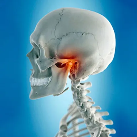 Imagem de um crânio sobre coluna vertebral com destaque alaranjado para a regiãp da articulação Temporomandibular